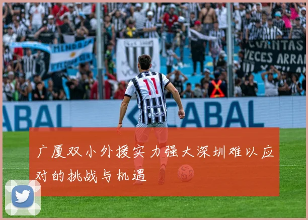 广厦双小外援实力强大深圳难以应对的挑战与机遇